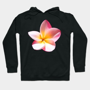 Pink Plumeria Hoodie